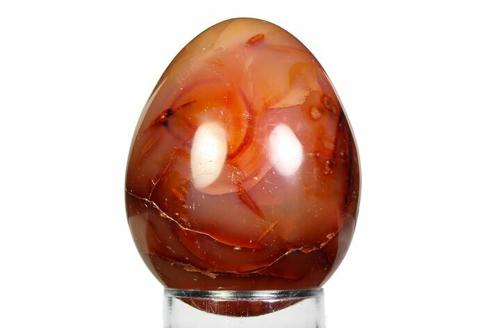 Vibrant Polished Carnelian Agate Egg - Madagascar #355474